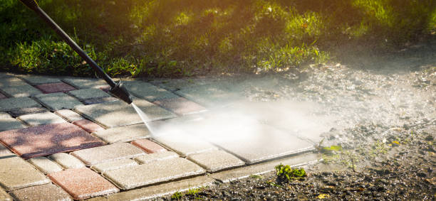 Best Solar Panel Cleaning  in Homewood, AL